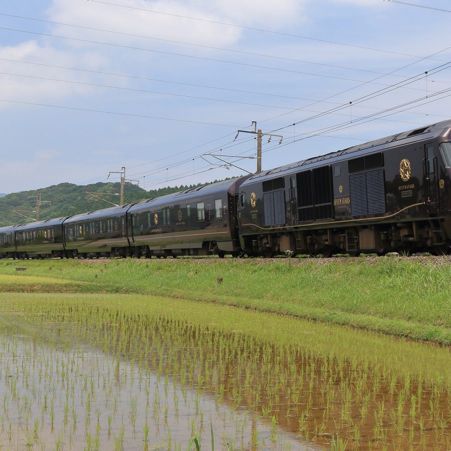 The Seven Stars in Kyushu train glides through a sunny rice field.